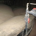 Biogas: Produktion trotz Wachstum weit hinter Regierungszielen