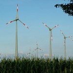 Ökostrom günstiger, Anzahl neuer Windenergie- Anlagen gesunken