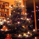 Weihnachtsbaum flickr (c) dierk schaefer