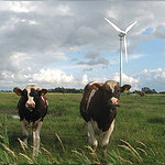 Windkraft in Bayern: Gesetzentwurf beschränkt Ökostrom-Ausbau