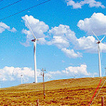 Erneuerbare-Energien-Gesetz: Feste Ökostrom-Förderung weicht Auktionen
