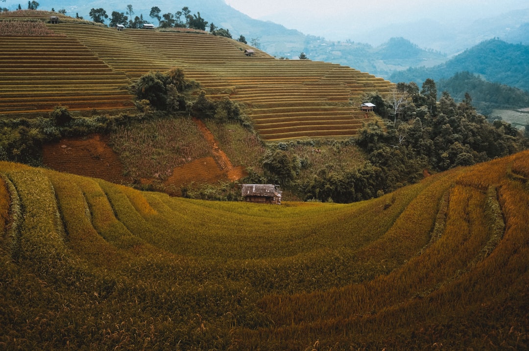 Land- & Forstwirtschaft